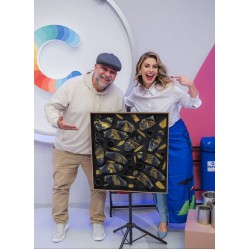 Projeto Cata Arte apresenta exposição em setembro no City Center Outlet Premium